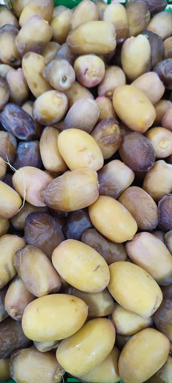 قیمت رطب بریم آبادان